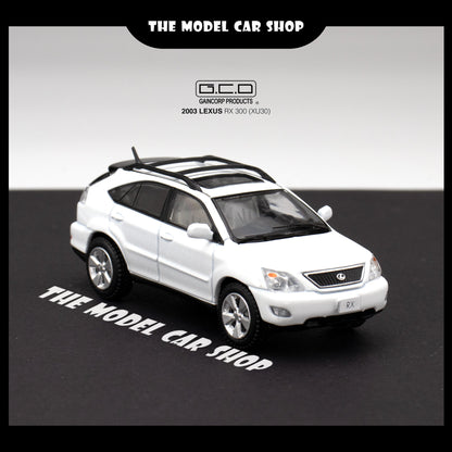 [GCD] Lexus RX300 Came With Random Surf Board