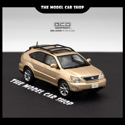 [GCD] Lexus RX300 Came With Random Surf Board