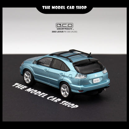 [GCD] Lexus RX300 Came With Random Surf Board