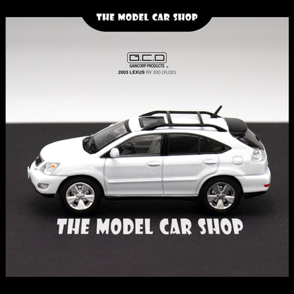 [GCD] Lexus RX300 Came With Random Surf Board