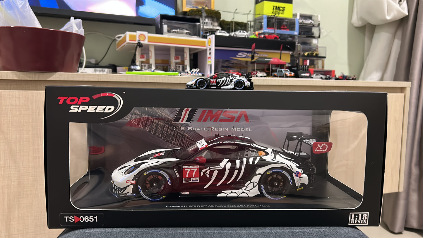 Top Speed TS0651 Porsche 911 GT3 Skelly